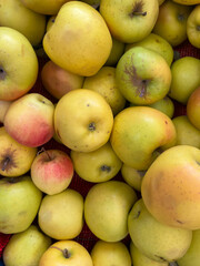 Fresh apples on display at fruit market