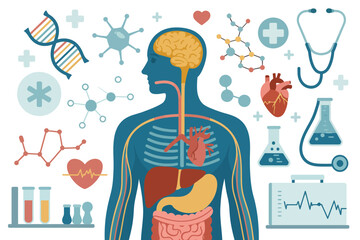 Illustration showing human anatomy with organs dna molecules and medical equipment on a white background