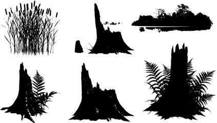 Set of reed shoots, reeds, and coastal vegetation. Ferns alongside rotting stumps. Swamp landscape with a riverbank in the view. Rendered as a silhouette. Isolated on white background. Modern