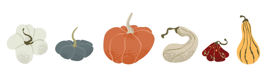 Brightly colored pumpkins set, a variety of shapes and sizes