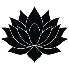 isolated lotus flower on white background