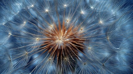 Close up macro view of a dandelion seed head with delicate wisps and a warm central glow