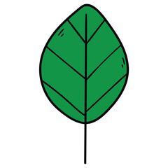 Obraz premium Hand-drawn cartoon green leaf on a white background.