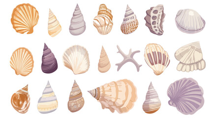 Detailed seashell vector graphic design on white background, marine and ocean theme illustration, natural shell shape with intricate lines and curves, beach and coastal concept