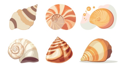 Detailed seashell vector graphic design on white background, marine and ocean theme illustration, natural shell shape with intricate lines and curves, beach and coastal concept