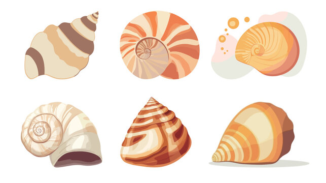 Detailed seashell vector graphic design on white background, marine and ocean theme illustration, natural shell shape with intricate lines and curves, beach and coastal concept
