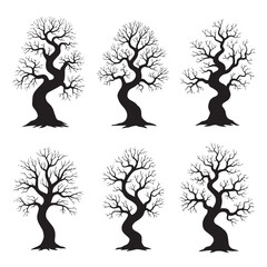 Bare Tree Silhouettes Winter Spooky Forest
