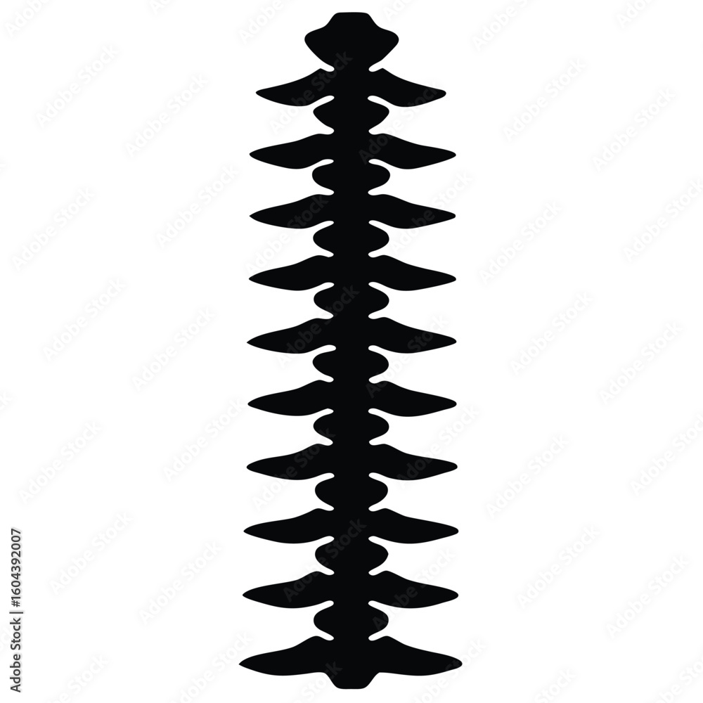 Poster isolated spine alignment chart on white background
