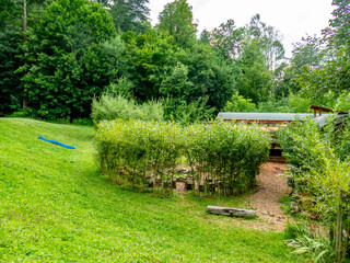 Stitzkreis bauen mit Weide im Waldkindergarten
