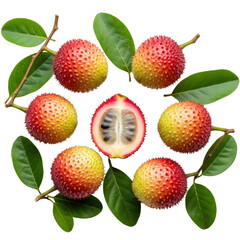 Gac fruit arrangement with open fruit revealing the interior isolated PNG with Transparent Background