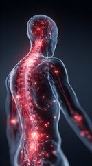 Human body with glowing red pain points on neural pathways illustrating pain or nerve stimulation, set against a dark blue 