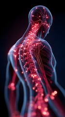 Human body with glowing red pain points on neural pathways illustrating pain or nerve stimulation, set against a dark blue 
