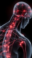 Human body with glowing red pain points on neural pathways illustrating pain or nerve stimulation, set against a dark blue 