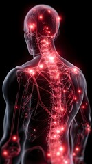 Human body with glowing red pain points on neural pathways illustrating pain or nerve stimulation, set against a dark blue 