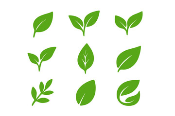 Green leaves icons set in flat style for graphic design. Collection of green leaf symbols for environment, nature, and eco signs. Organic, bio, and vegan product logo element.