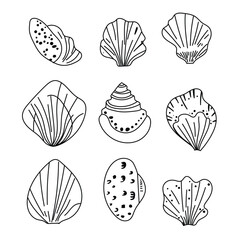 Coastal shell illustrations, ideal for marine-themed prints.