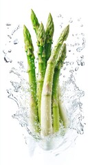 Fresh Green Asparagus Sprouts with Water Splash on White Background
