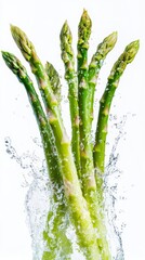 Fresh Asparagus Stalks Splashed Water Isolated on White Background
