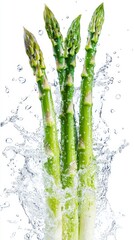 Fresh Asparagus in Water Splash Isolated on White Background