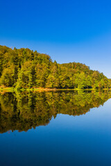 Reflection of forest on Trakoscan lake in Zagorje, Croatia, amazing nature landscape