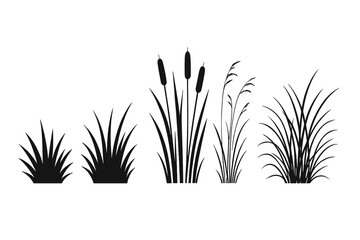 Grass silhouette vector set. Collection of black grass and reed icons. Natural landscape elements. Spiky grass, tall reeds, cattail, bulrush for swamp or marsh design.