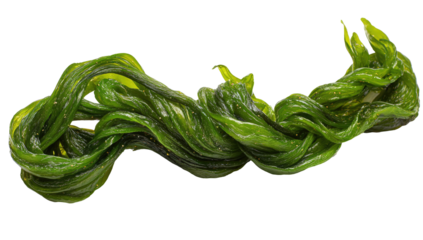 Close-up of a tangled, vibrant green, seaweed-like substance.  It's textured with winding strands and flecks of light color