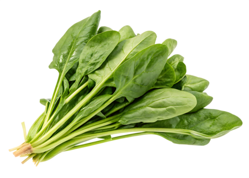 Fresh green spinach leaves bunch isolated on a transparent background image
