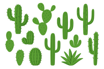 Green cactus and succulent plant collection. Vector illustration set in a flat, modern cartoon style. Various types of cacti like saguaro, prickly pear. Botanical icons.