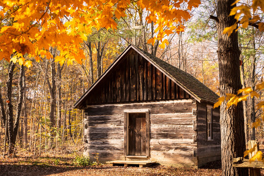  
A cozy log cabin sits nestled in a vibrant autumn forest, surrounded by colorful fall foliage and bathed in warm sunlight.