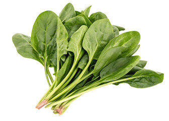 Fresh green spinach leaves bunch isolated on a transparent background image