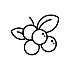 Acai Berry Outline the Concept of Healthy Food for Blogs, Websites, Cards, Education, and Nutrition Awareness