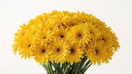 Naklejka premium Assembly of vibrant yellow petals