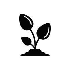 A black and white image of a plant