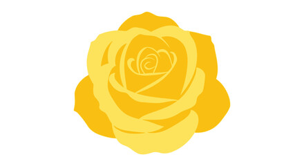 Elegant golden rose blossom with curved petals offering a soft and romantic aesthetic against a crisp white canvas presenting purity