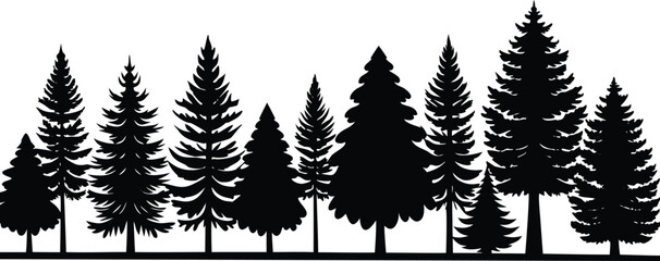Dense forest line composed of various pine tree silhouettes