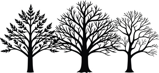 Three bare deciduous trees in silhouette against a white background
