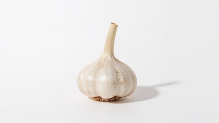 Allium sativum specimen displayed on white with clipping mask