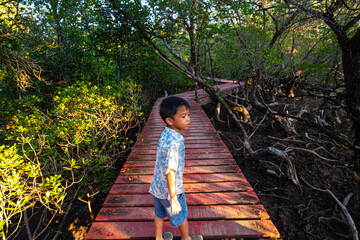 Happy little boy enjoy travel in mangrove forest wooden walk way outdoor