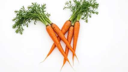 Twisted carrots from eco-friendly agriculture as an emblem of romantic connection and togetherness or healthful, naturally farmed vegetables