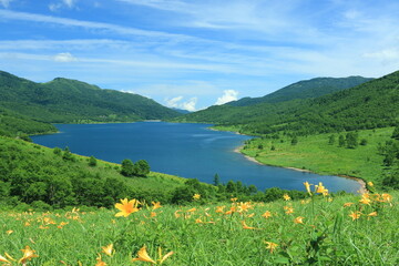 夏の野反湖