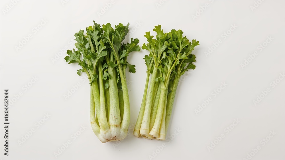 Aufkleber fresh celery stalks along with celeriac displayed on white background in studio setting.