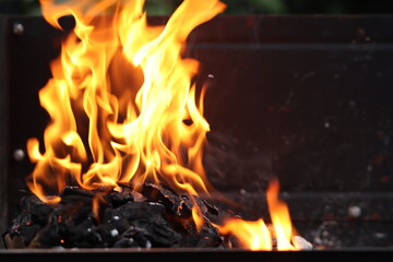 fire in the fireplace