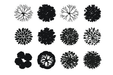 Set of tree top view silhouettes for landscape design and architectural plan. Collection of black isolated vector plant and tree symbols for nature or park concepts.