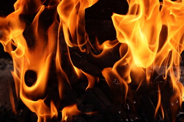 Fototapeta premium fire