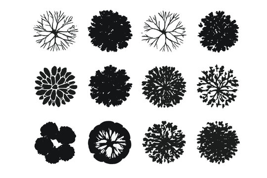 Set of tree top view silhouettes for landscape design and architectural plan. Collection of black isolated vector plant and tree symbols for nature or park concepts.