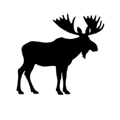 deer silhouette vector illustration