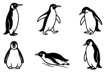 Penguin characters set in various poses. Cute arctic animal collection. Standing, walking, sliding bird. Black and white line art wildlife vector illustration icon.