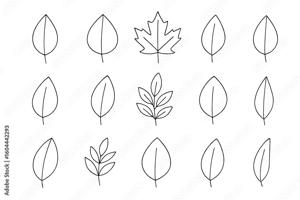 Poster leaf outlines big set. botanical line art collection. isolated leaf sketches and simple leaf shapes.