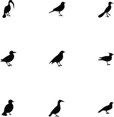 Collection of various bird silhouettes in different poses silhouette