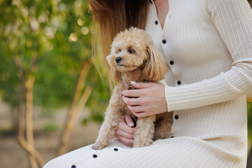 Woman Holding Small Dog on Her Lap Outdoors Showing Love and Affection in Cozy Spring Day